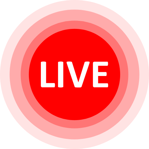 Danymin Cam